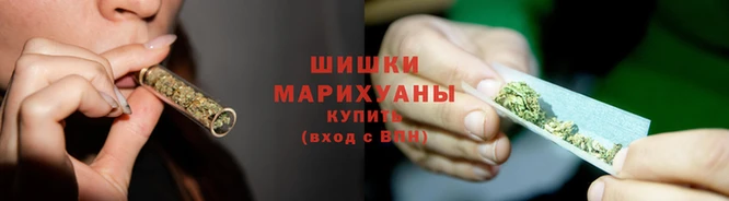 мдпв Ростов
